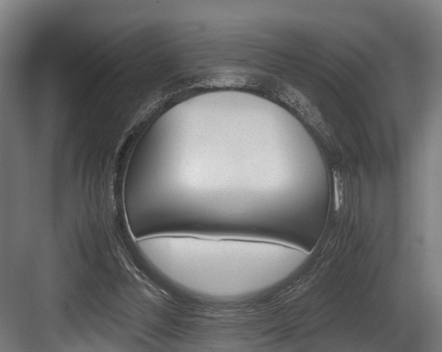 X0000083620300200702120756