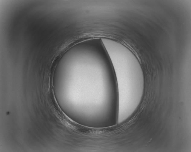 X0000083620301200702120756
