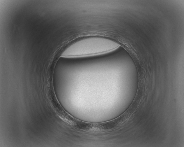 X0000083620303200702120756