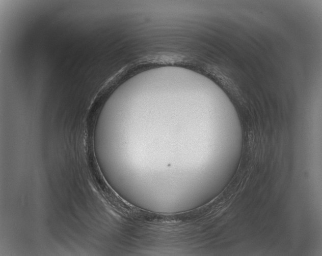 X0000083620304200702120756