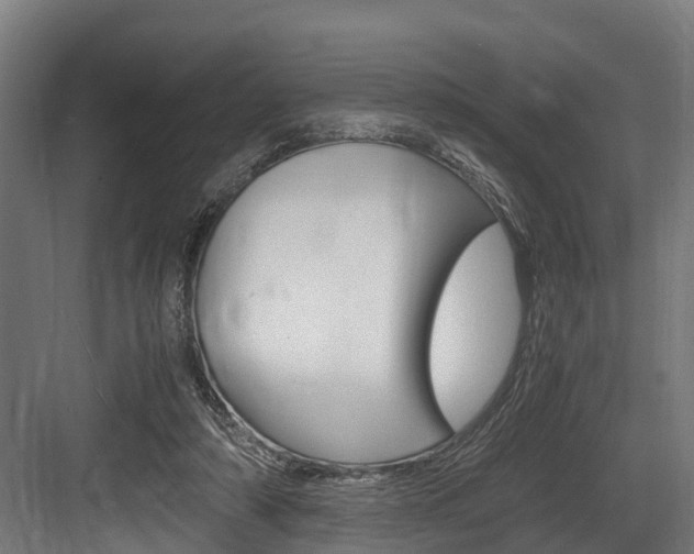 X0000083620306200702120756
