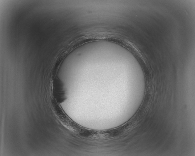 X0000083620307200702120756