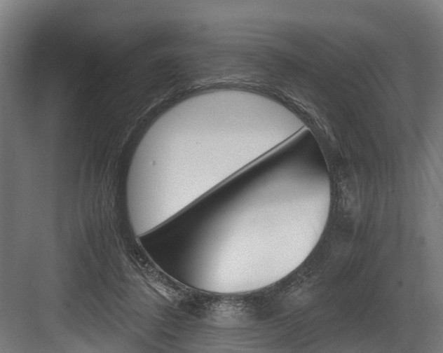 X0000083620308200702120756