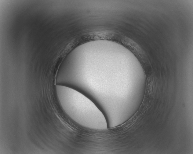 X0000083620310200702120756