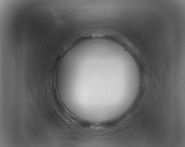 X0000083620311200702120756