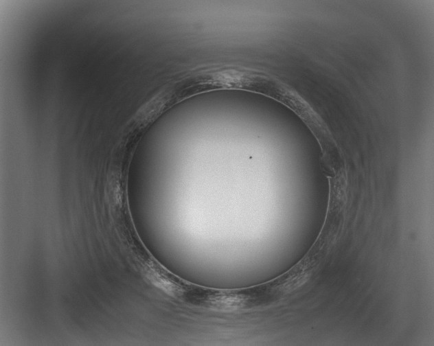 X0000083620313200702120756