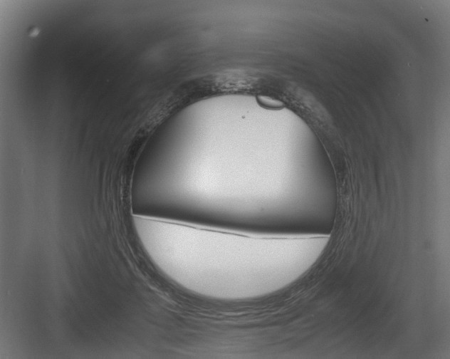 X0000083620315200702120756