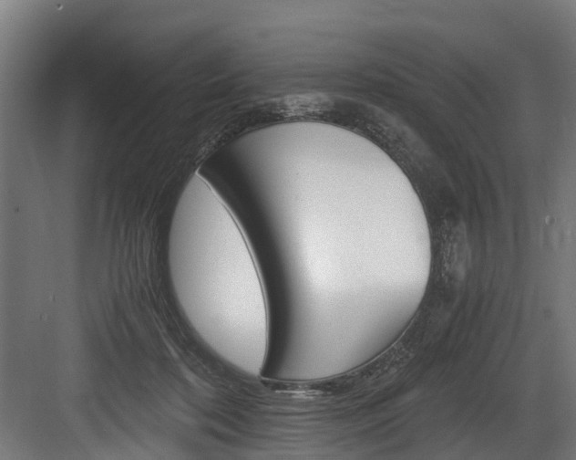 X0000083620316200702120756