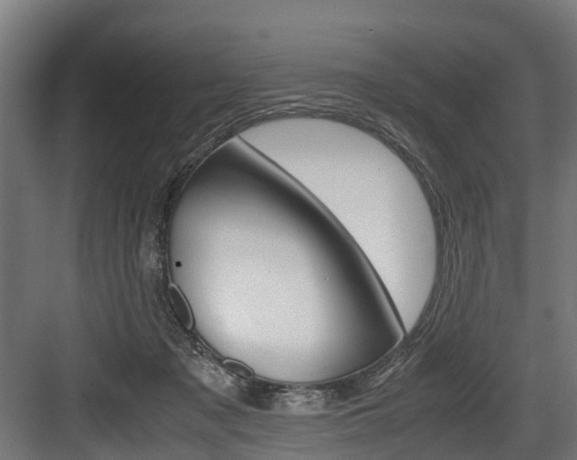 X0000083620317200702120756