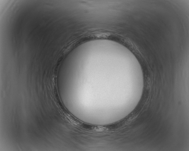 X0000083620321200702120756