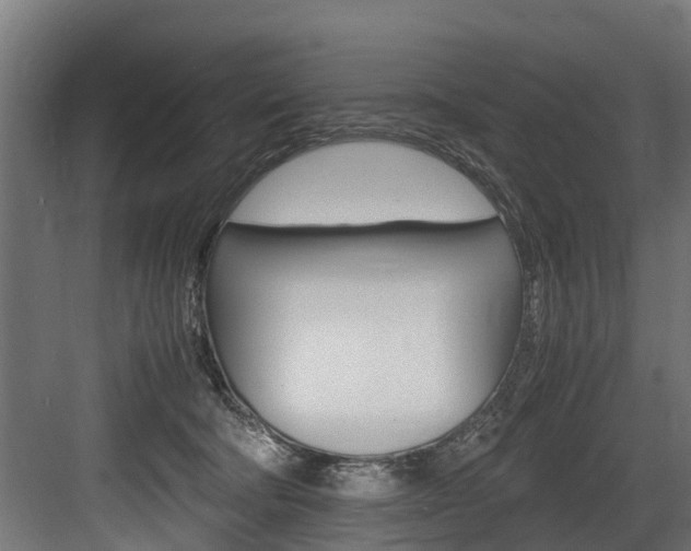 X0000083620322200702120756