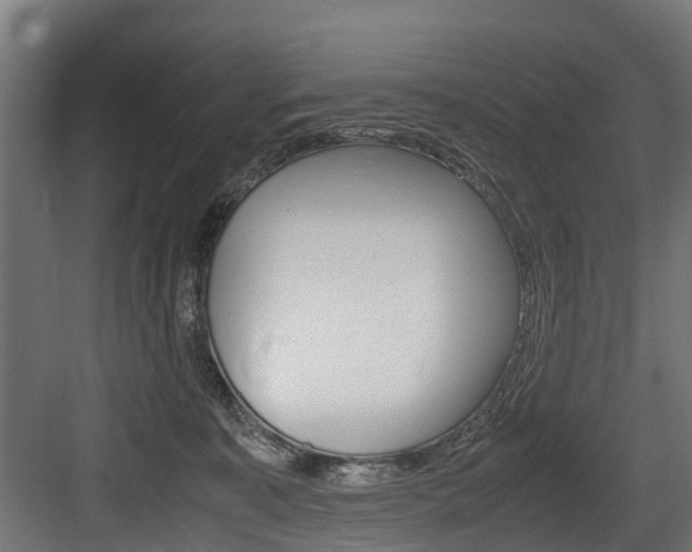 X0000083620323200702120756