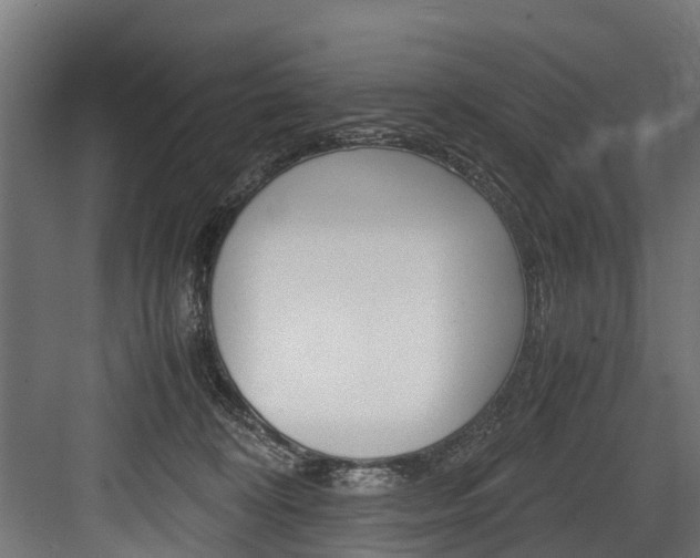 X0000083620324200702120756