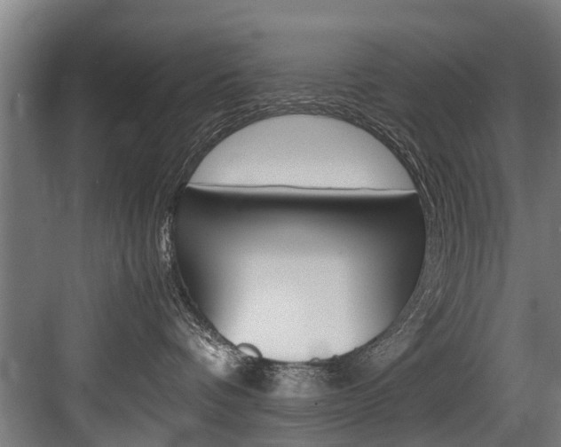 X0000083620336200702120756