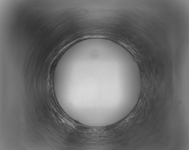 X0000083620338200702120755