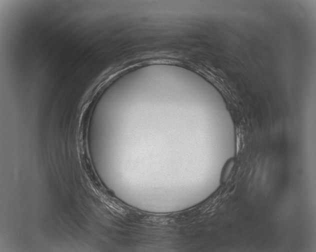 X0000083620339200702120755