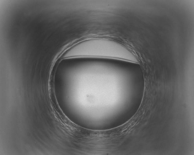 X0000083620340200702120755