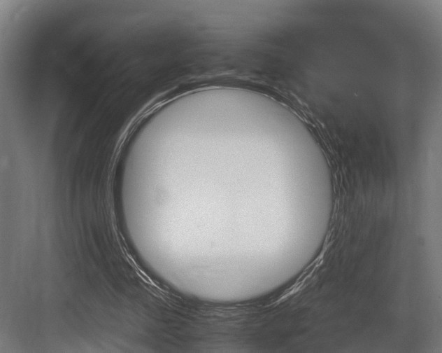 X0000083620341200702120755