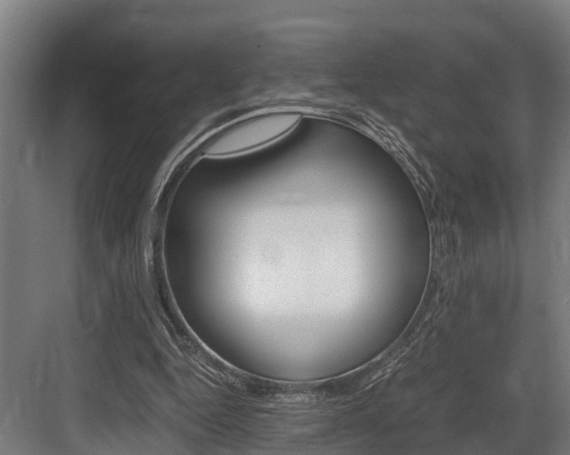 X0000083620344200702120755