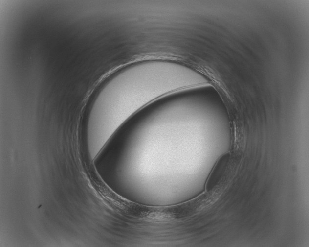 X0000083620348200702120755