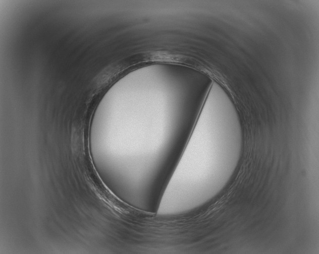 X0000083620349200702120755