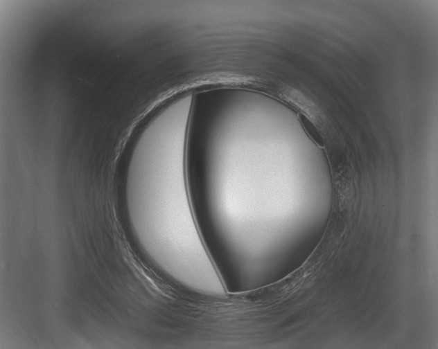 X0000083620350200702120755