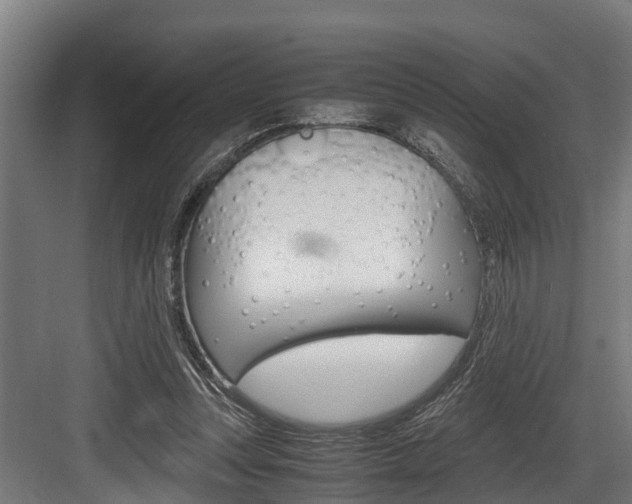 X0000083620351200702120755