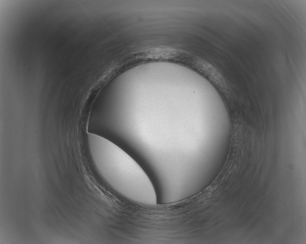 X0000083620354200702120755