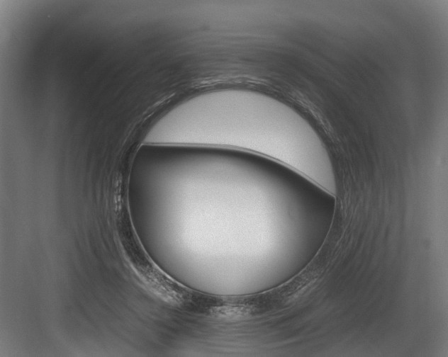 X0000083620356200702120755