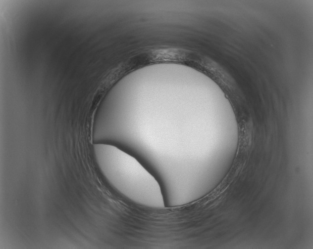 X0000083620361200702120755