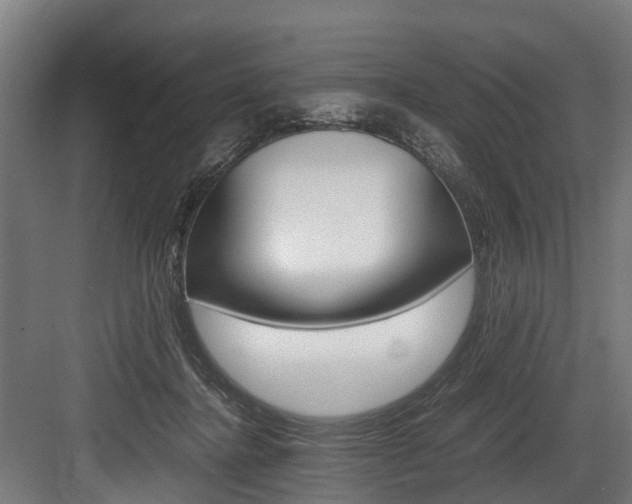 X0000083620364200702120755