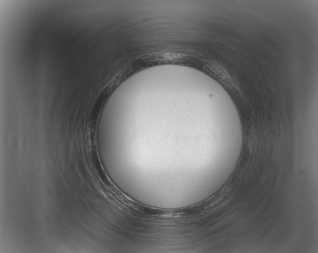 X0000083620366200702120755
