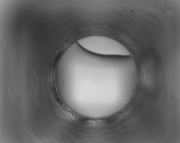 X0000083620367200702120755