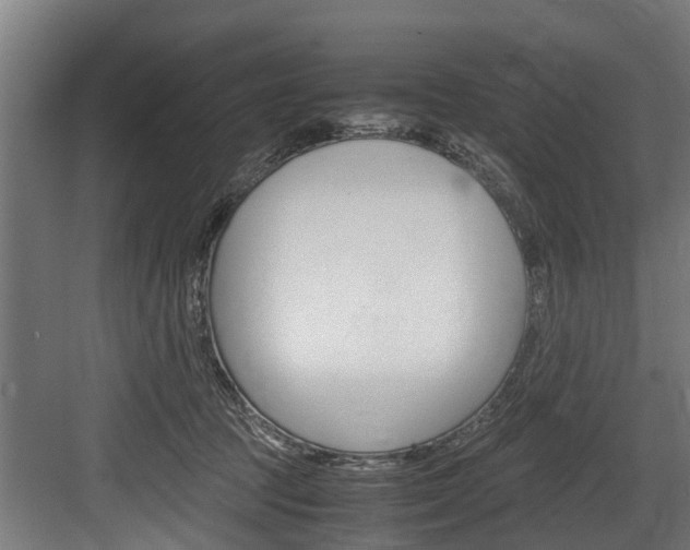X0000083620369200702120755