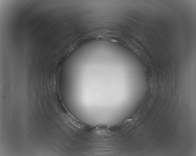 X0000083620372200702120755