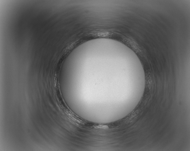 X0000083620374200702120755