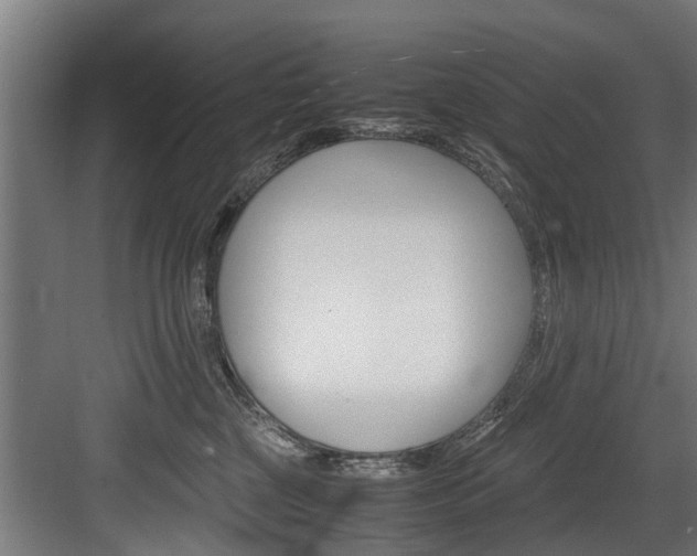X0000083620377200702120756