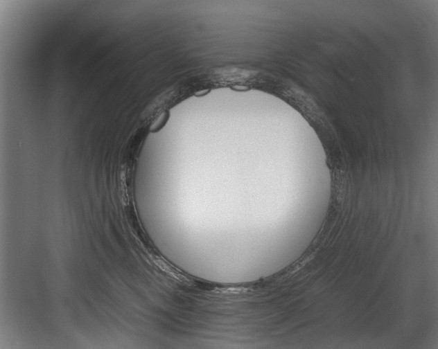 X0000083620378200702120756