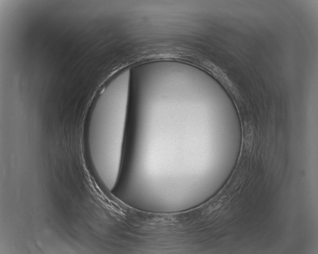 X0000083620386200702120755