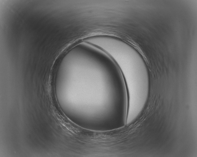 X0000083620387200702120755