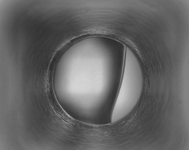 X0000083620388200702120755
