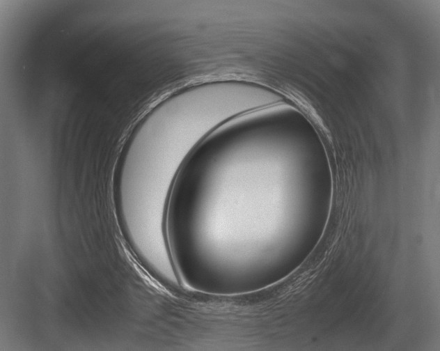 X0000083620389200702120755