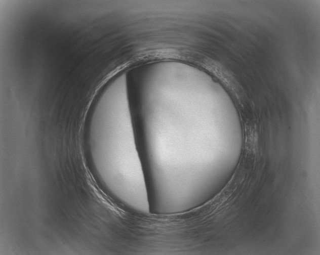X0000083620390200702120755