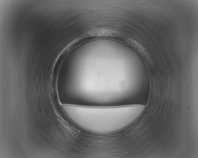 X0000083620392200702120755