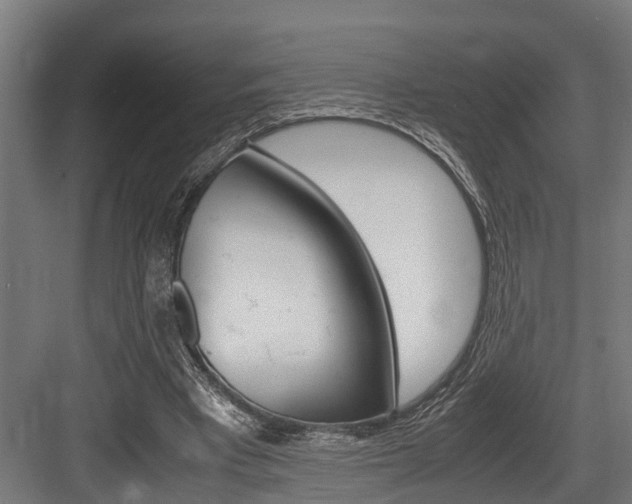 X0000083620393200702120755