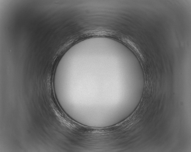 X0000083620394200702120755