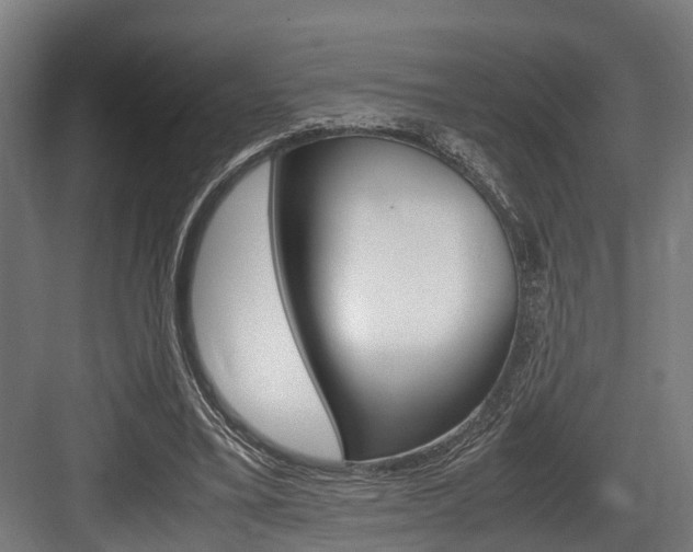 X0000083620395200702120755