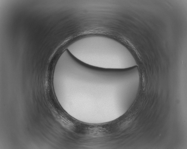 X0000083620396200702120755