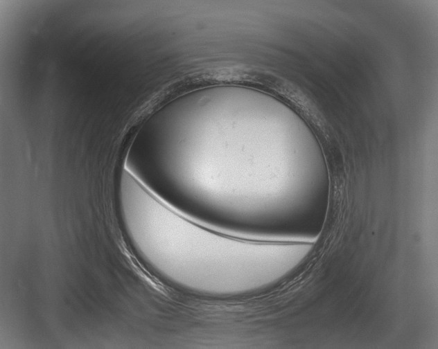 X0000083620397200702120755