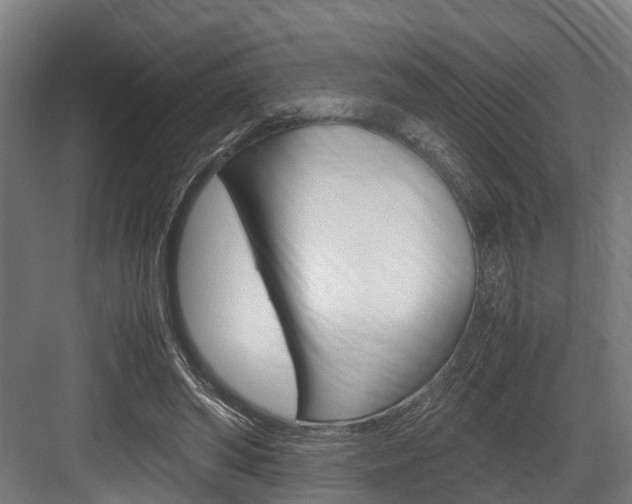 X0000083620398200702120755